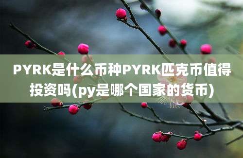 PYRK是什么币种PYRK匹克币值得投资吗(py是哪个国家的货币)