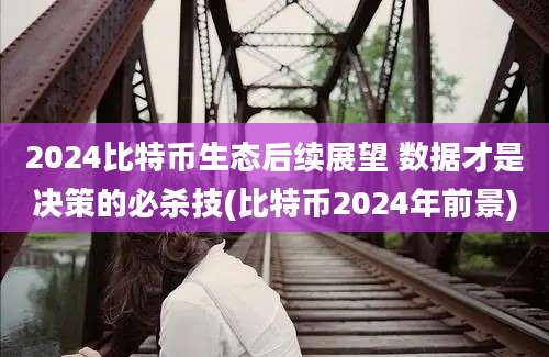 2024比特币生态后续展望 数据才是决策的必杀技(比特币2024年前景)