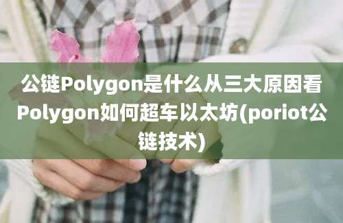 公链Polygon是什么从三大原因看Polygon如何超车以太坊(poriot公链技术)