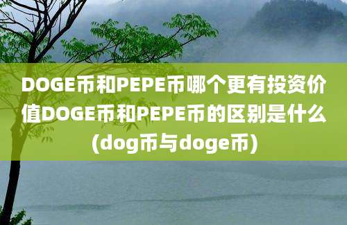 DOGE币和PEPE币哪个更有投资价值DOGE币和PEPE币的区别是什么(dog币与doge币)