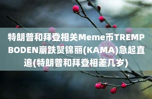 特朗普和拜登相关Meme币TREMPBODEN崩跌贺锦丽(KAMA)急起直追(特朗普和拜登相差几岁)