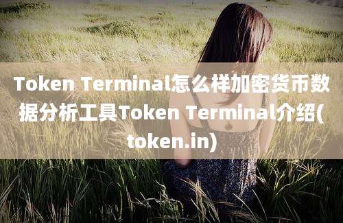 Token Terminal怎么样加密货币数据分析工具Token Terminal介绍(token.in)