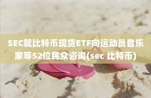 SEC就比特币现货ETF向运动员音乐家等52位民众咨询(sec 比特币)