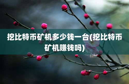 挖比特币矿机多少钱一台(挖比特币矿机赚钱吗)