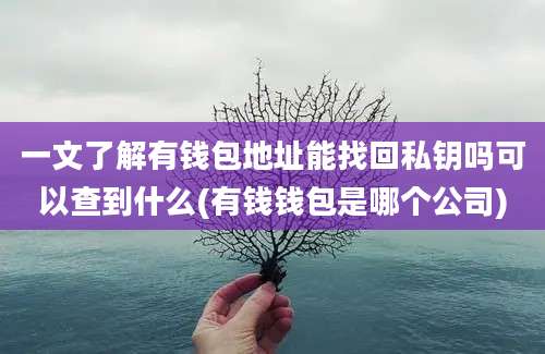 一文了解有钱包地址能找回私钥吗可以查到什么(有钱钱包是哪个公司)