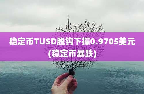 稳定币TUSD脱钩下探0.9705美元(稳定币暴跌)