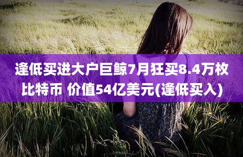 逢低买进大户巨鲸7月狂买8.4万枚比特币 价值54亿美元(逢低买入)