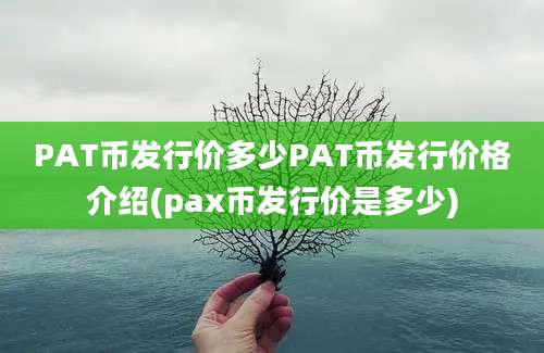 PAT币发行价多少PAT币发行价格介绍(pax币发行价是多少)