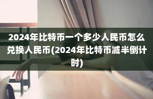 2024年比特币一个多少人民币怎么兑换人民币(2024年比特币减半倒计时)