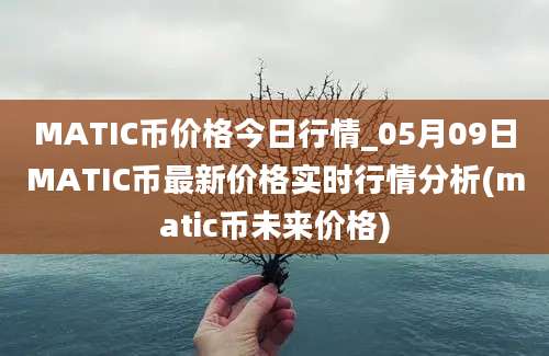 MATIC币价格今日行情_05月09日MATIC币最新价格实时行情分析(matic币未来价格)