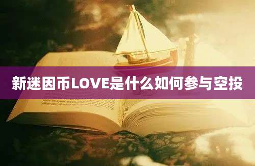 新迷因币LOVE是什么如何参与空投