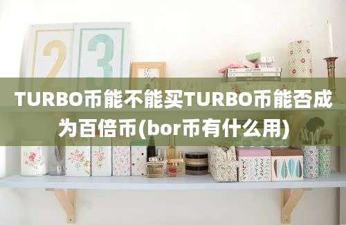 TURBO币能不能买TURBO币能否成为百倍币(bor币有什么用)