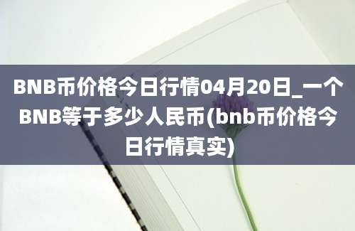 BNB币价格今日行情04月20日_一个BNB等于多少人民币(bnb币价格今日行情真实)