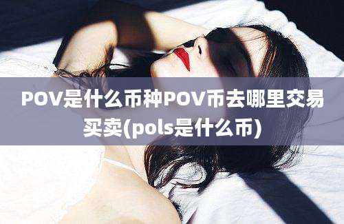 POV是什么币种POV币去哪里交易买卖(pols是什么币)