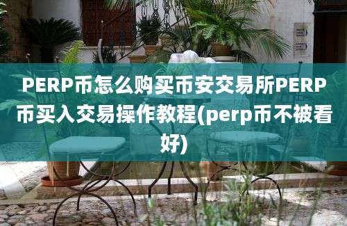 PERP币怎么购买币安交易所PERP币买入交易操作教程(perp币不被看好)