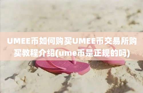 UMEE币如何购买UMEE币交易所购买教程介绍(ume币是正规的吗)