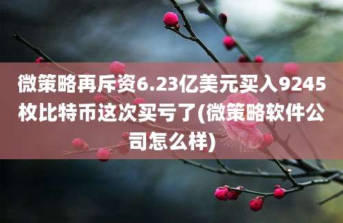 微策略再斥资6.23亿美元买入9245枚比特币这次买亏了(微策略软件公司怎么样)