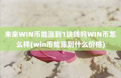 未来WIN币能涨到1块钱吗WIN币怎么样(win币能涨到什么价格)