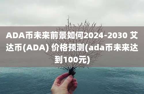 ADA币未来前景如何2024-2030 艾达币(ADA) 价格预测(ada币未来达到100元)