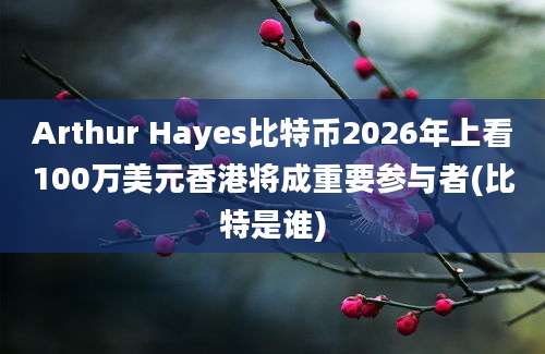 Arthur Hayes比特币2026年上看100万美元香港将成重要参与者(比特是谁)