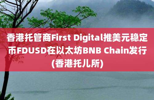 香港托管商First Digital推美元稳定币FDUSD在以太坊BNB Chain发行(香港托儿所)