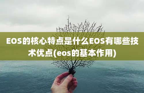 EOS的核心特点是什么EOS有哪些技术优点(eos的基本作用)