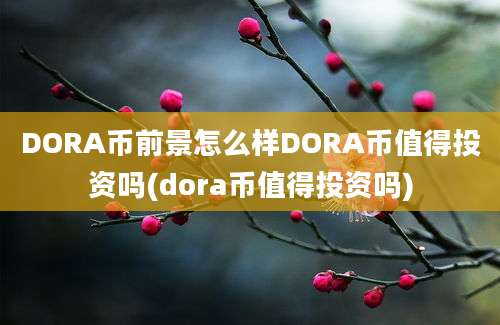 DORA币前景怎么样DORA币值得投资吗(dora币值得投资吗)