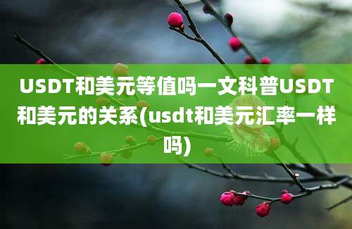 USDT和美元等值吗一文科普USDT和美元的关系(usdt和美元汇率一样吗)