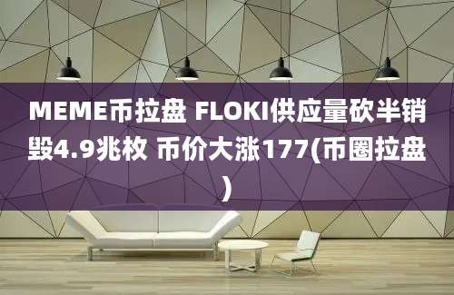 MEME币拉盘 FLOKI供应量砍半销毁4.9兆枚 币价大涨177(币圈拉盘)