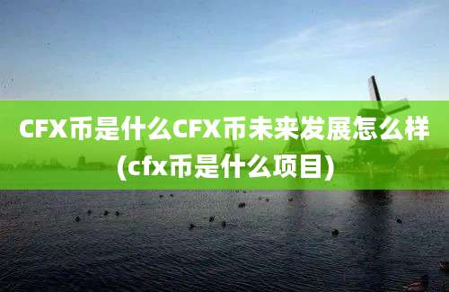 CFX币是什么CFX币未来发展怎么样(cfx币是什么项目)