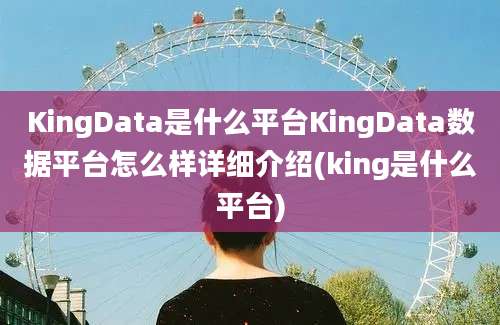 KingData是什么平台KingData数据平台怎么样详细介绍(king是什么平台)