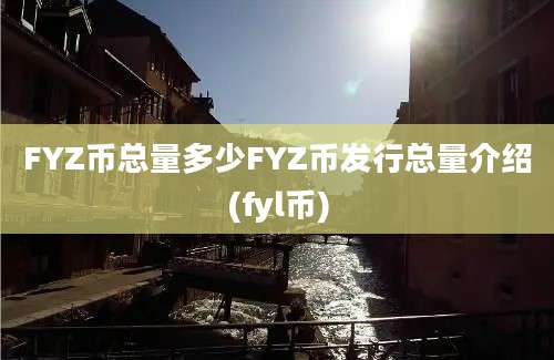 FYZ币总量多少FYZ币发行总量介绍(fyl币)