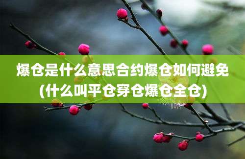 爆仓是什么意思合约爆仓如何避免(什么叫平仓穿仓爆仓全仓)