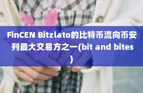 FinCEN Bitzlato的比特币流向币安 列最大交易方之一(bit and bites)