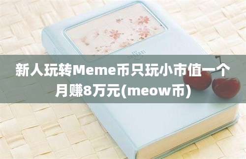 新人玩转Meme币只玩小市值一个月赚8万元(meow币)