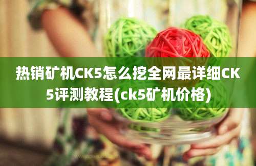 热销矿机CK5怎么挖全网最详细CK5评测教程(ck5矿机价格)