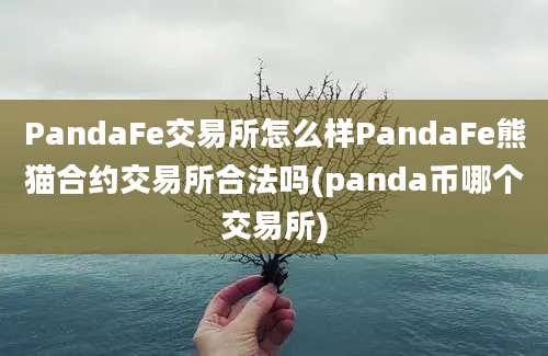 PandaFe交易所怎么样PandaFe熊猫合约交易所合法吗(panda币哪个交易所)