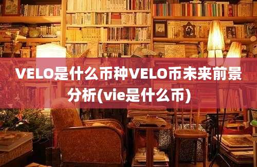 VELO是什么币种VELO币未来前景分析(vie是什么币)