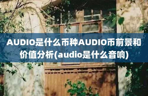 AUDIO是什么币种AUDIO币前景和价值分析(audio是什么音响)