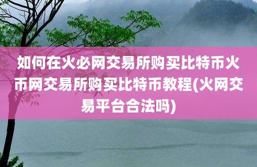 如何在火必网交易所购买比特币火币网交易所购买比特币教程(火网交易平台合法吗)