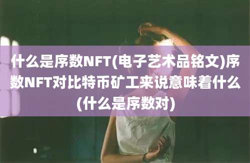 什么是序数NFT(电子艺术品铭文)序数NFT对比特币矿工来说意味着什么(什么是序数对)