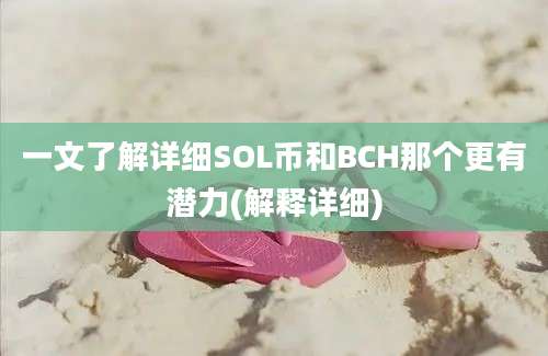 一文了解详细SOL币和BCH那个更有潜力(解释详细)