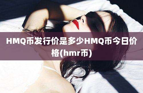 HMQ币发行价是多少HMQ币今日价格(hmr币)