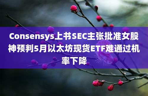 Consensys上书SEC主张批准女股神预判5月以太坊现货ETF难通过机率下降