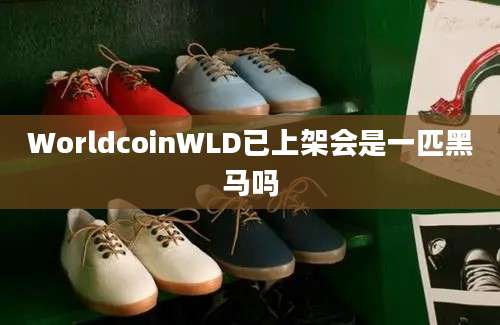 WorldcoinWLD已上架会是一匹黑马吗