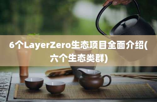 6个LayerZero生态项目全面介绍(六个生态类群)