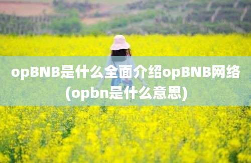 opBNB是什么全面介绍opBNB网络(opbn是什么意思)