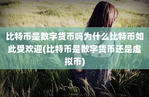 比特币是数字货币吗为什么比特币如此受欢迎(比特币是数字货币还是虚拟币)