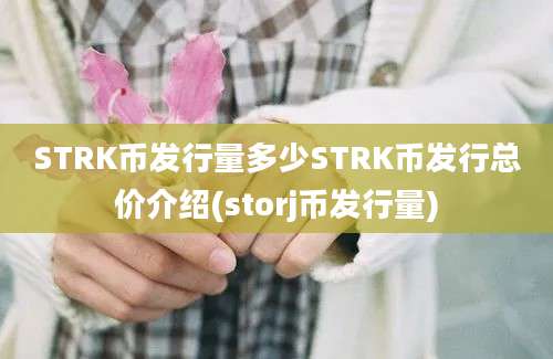 STRK币发行量多少STRK币发行总价介绍(storj币发行量)