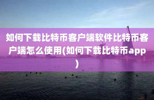 如何下载比特币客户端软件比特币客户端怎么使用(如何下载比特币app)